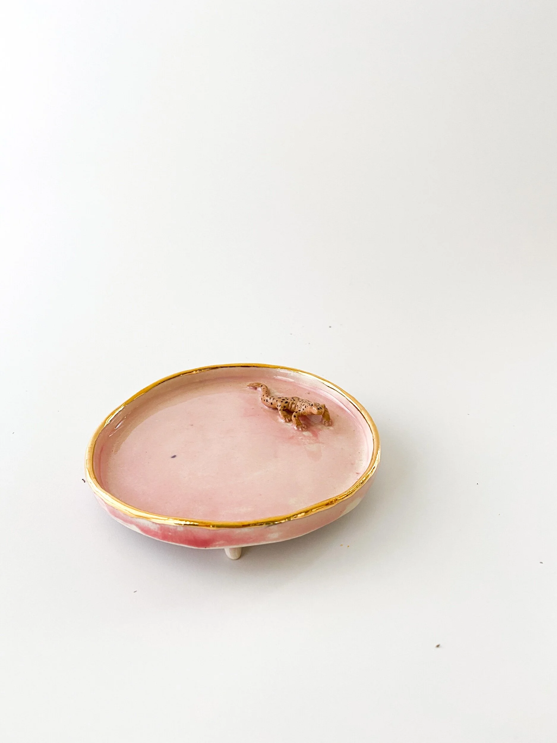 5E7F2171-6A50-4F1F-92EE-5B466AA55F1D