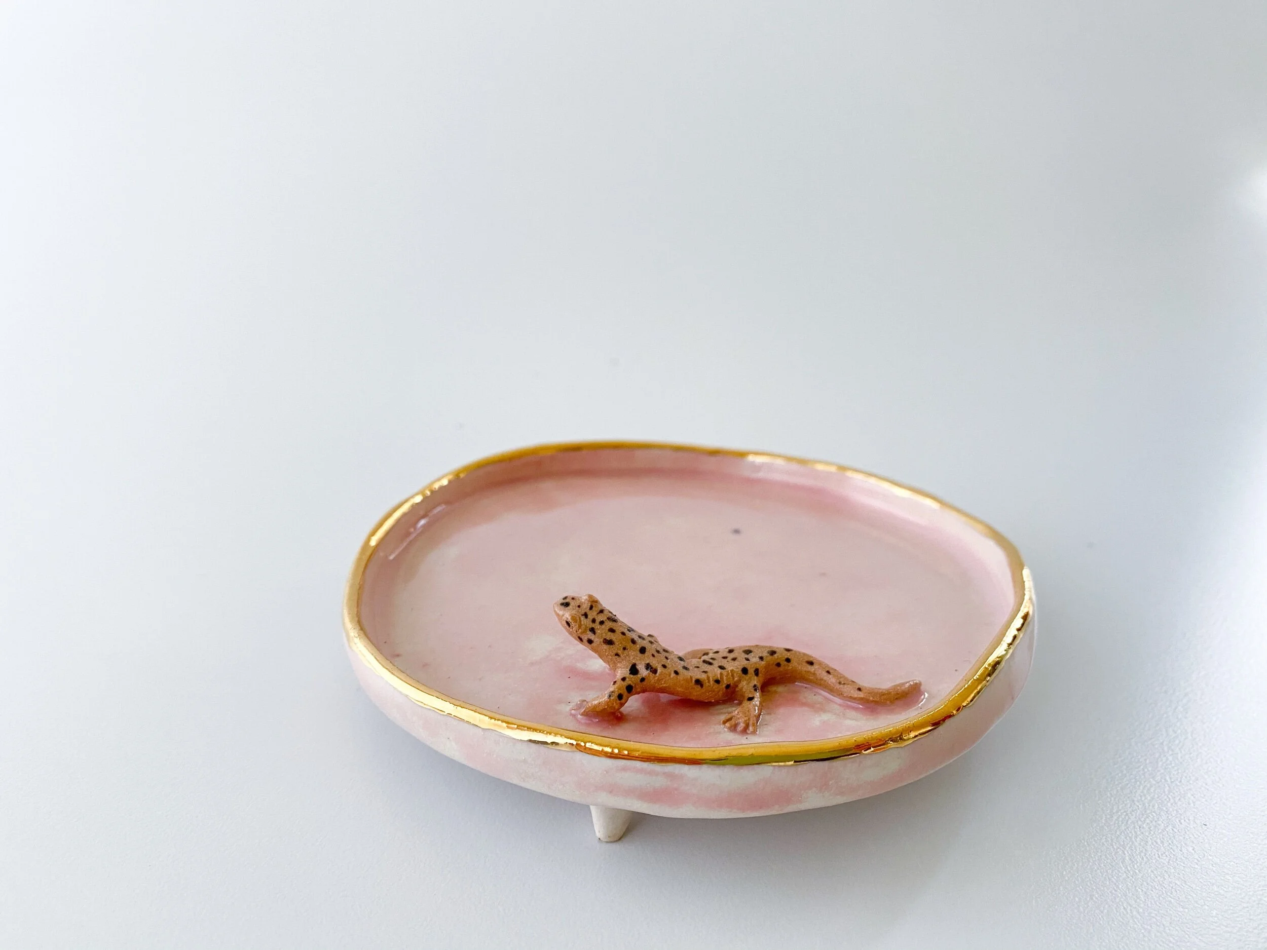 1764AC21-60D4-4BDB-84A1-C756A2B197F2