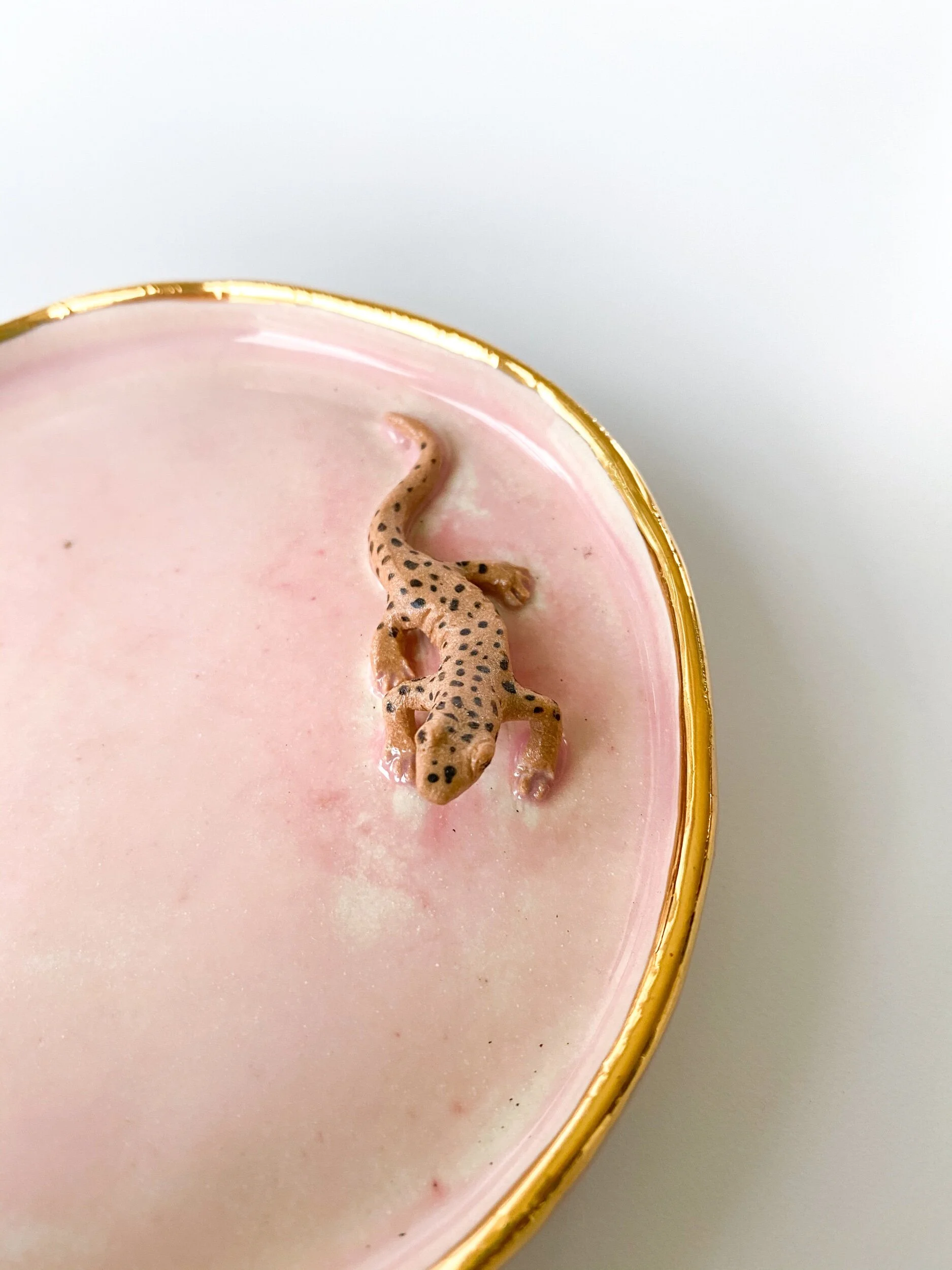 4C92F425-0331-4EDA-838A-D6D90EEB1D7F