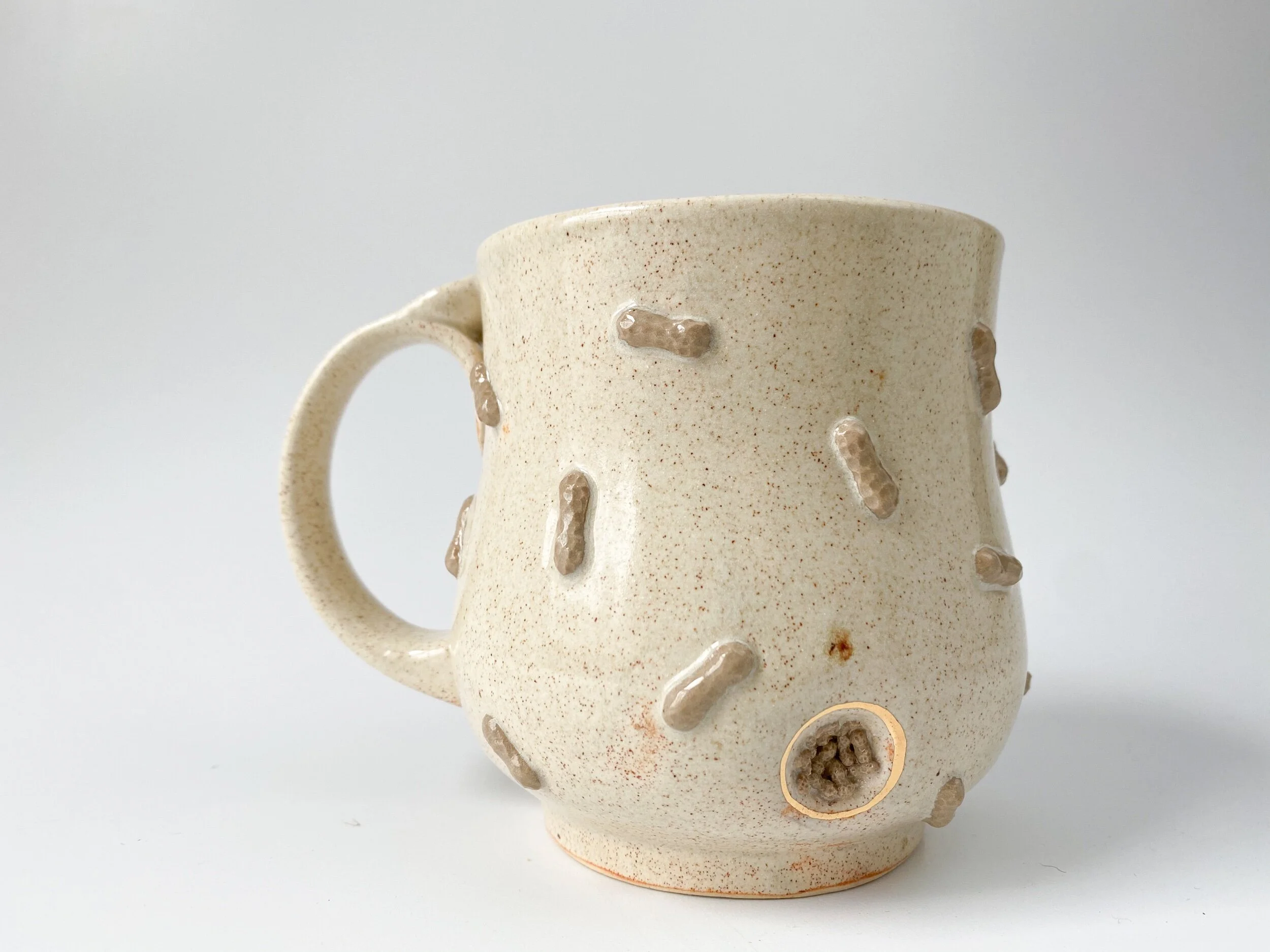 FDA23444-2703-427F-B4F8-4FA9D801B78E