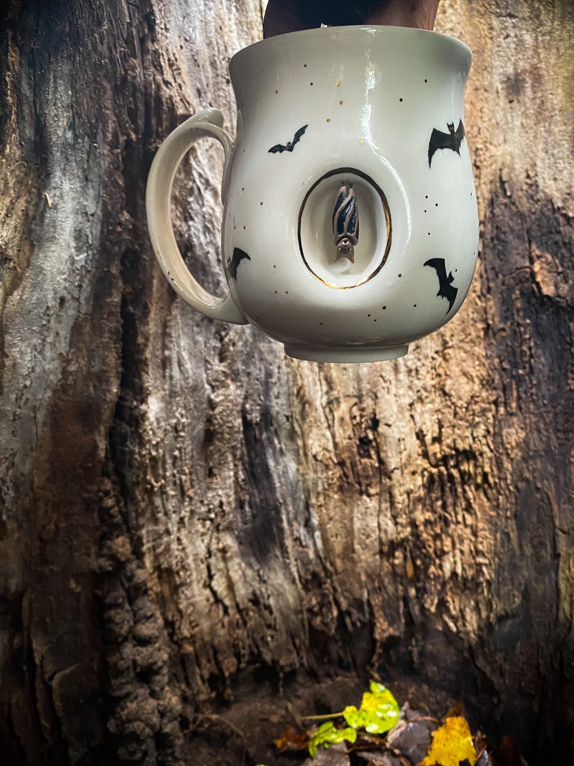 E2694C76-484B-4EBD-807A-0680E7277EC5