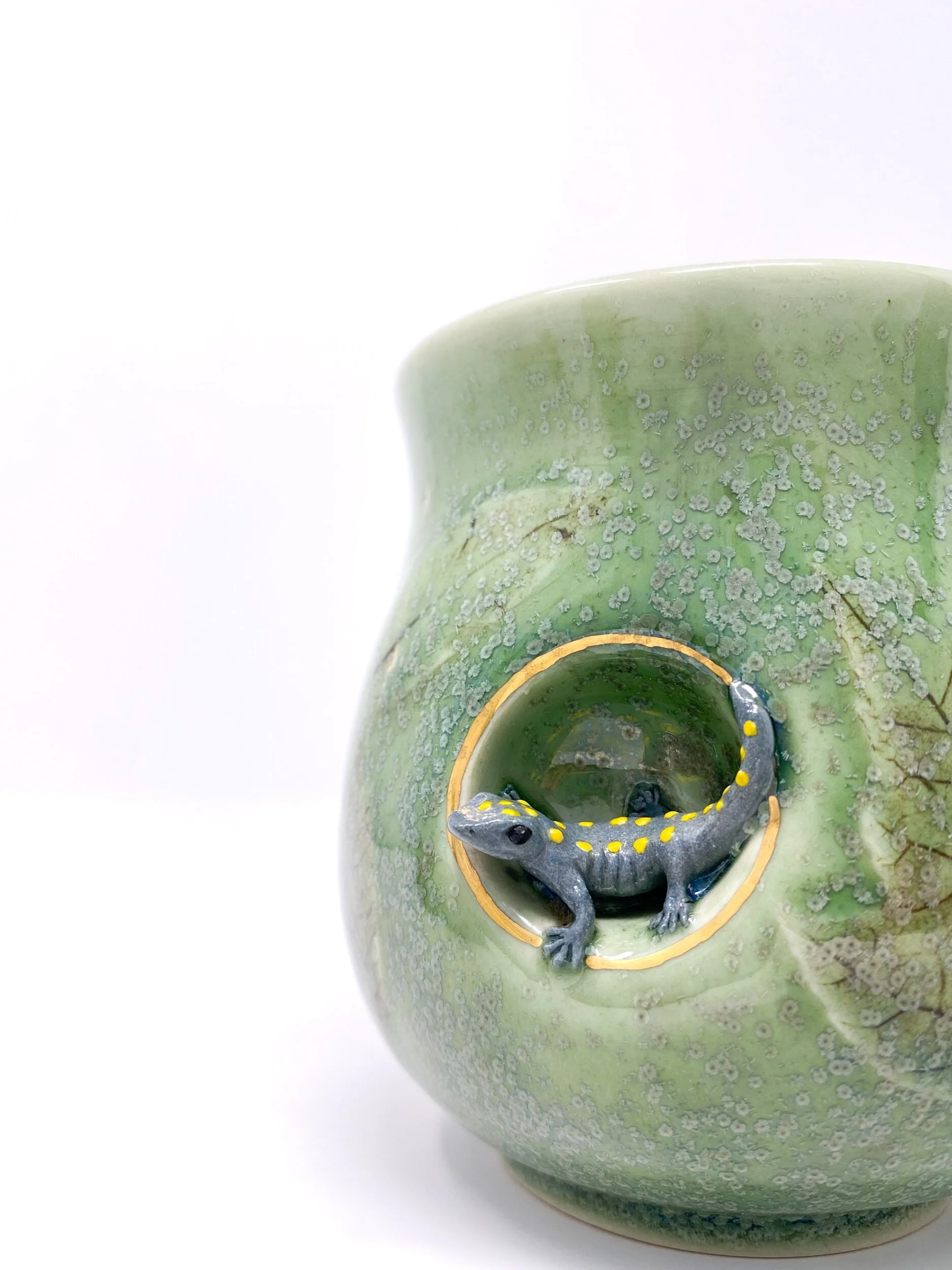 BFCADEB7-632F-4259-983F-292BD9E9ACB6