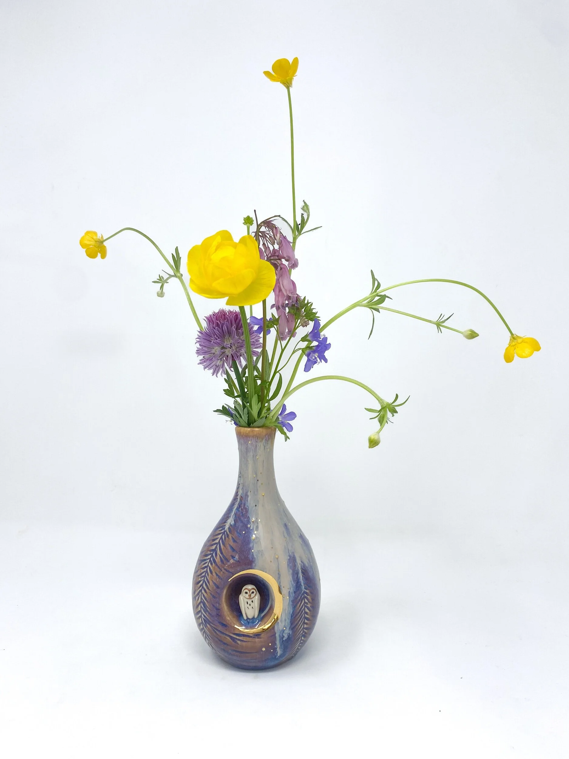 B3973E85-FE4A-41C8-AE7B-2E89B8347058