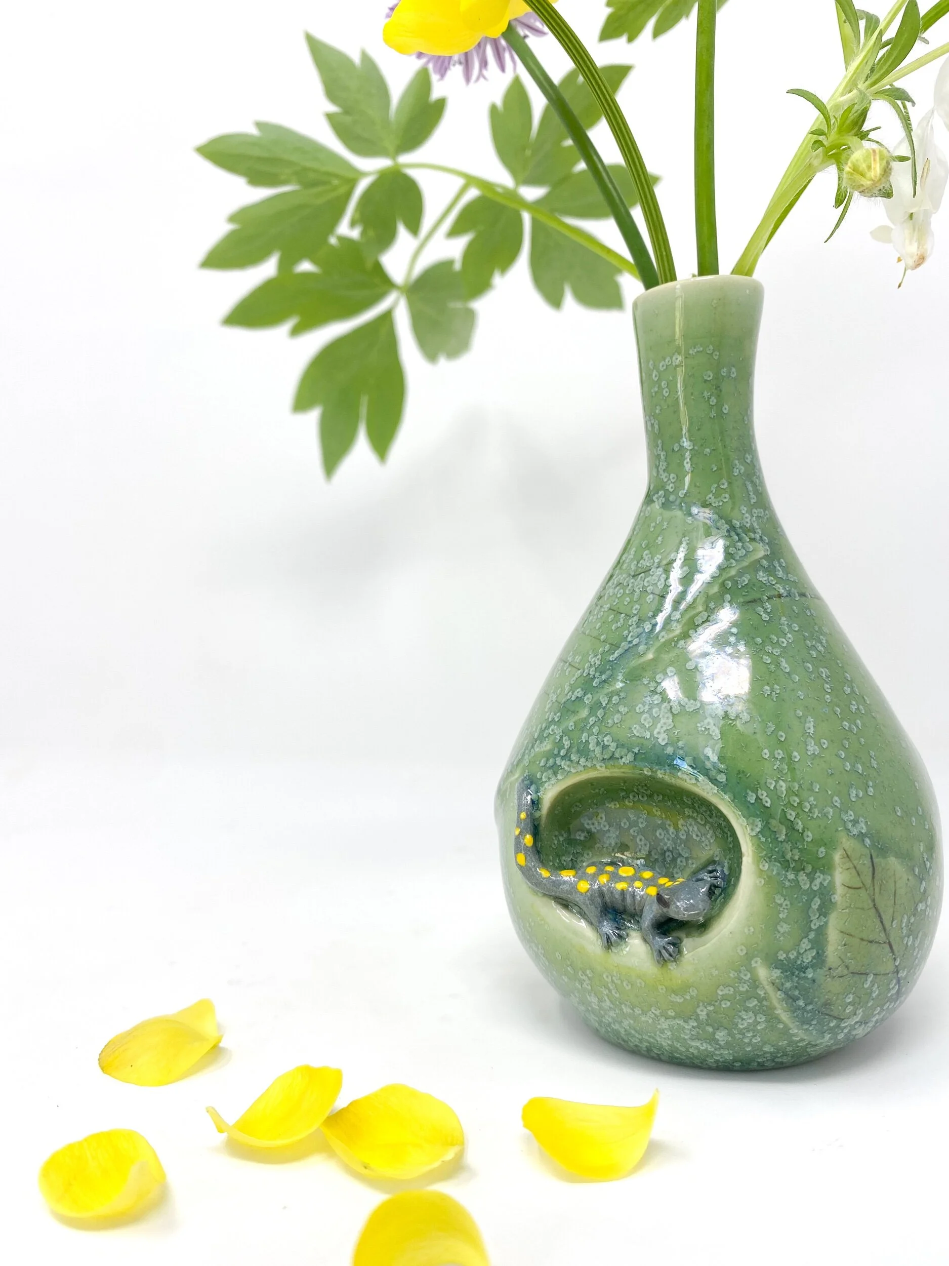 08E0F59D-E794-46F0-9690-8840CE26BFBA