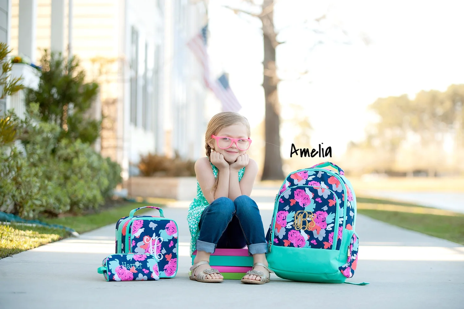amelia_collection_1.jpg
