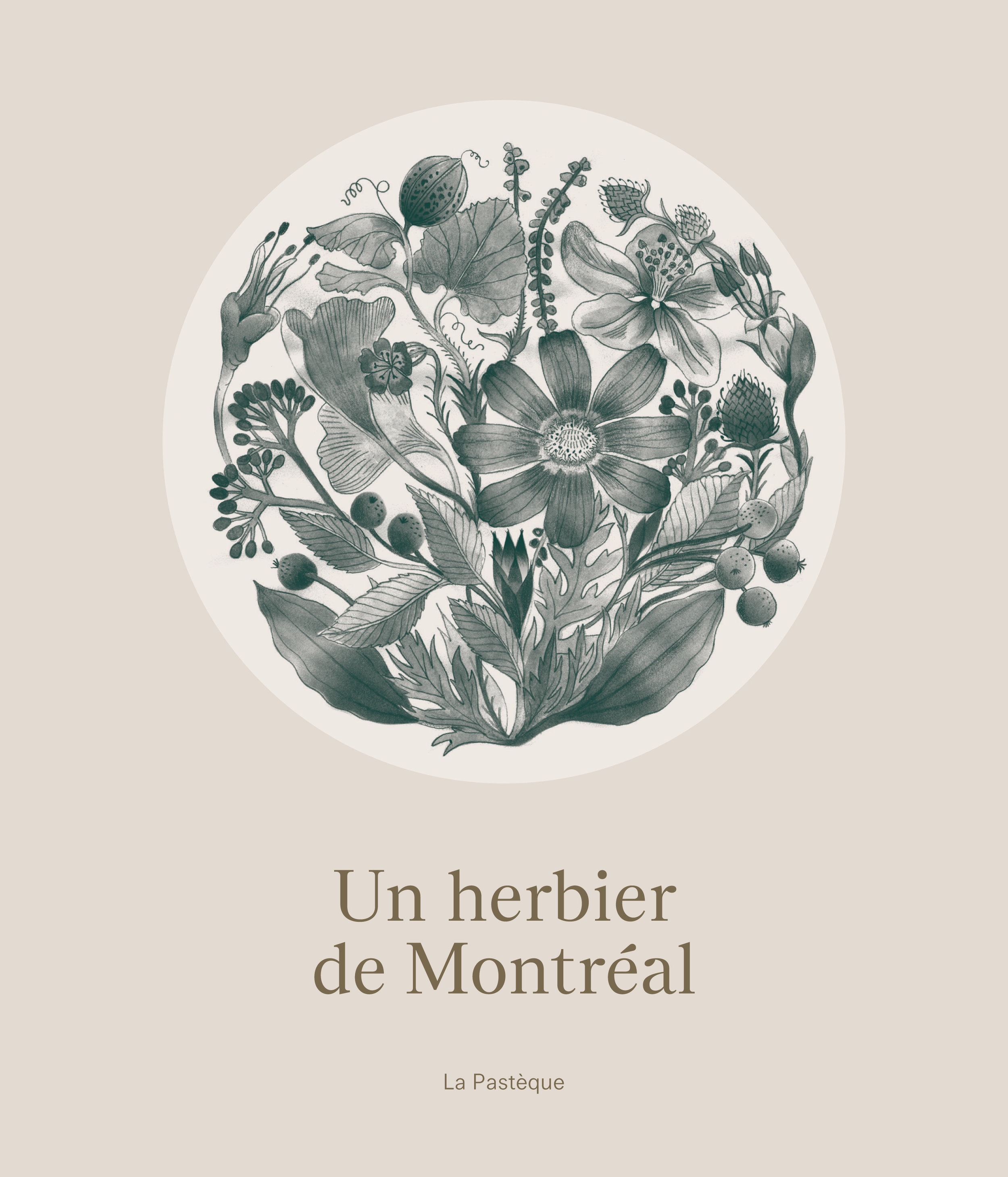 Un herbier de Montréal