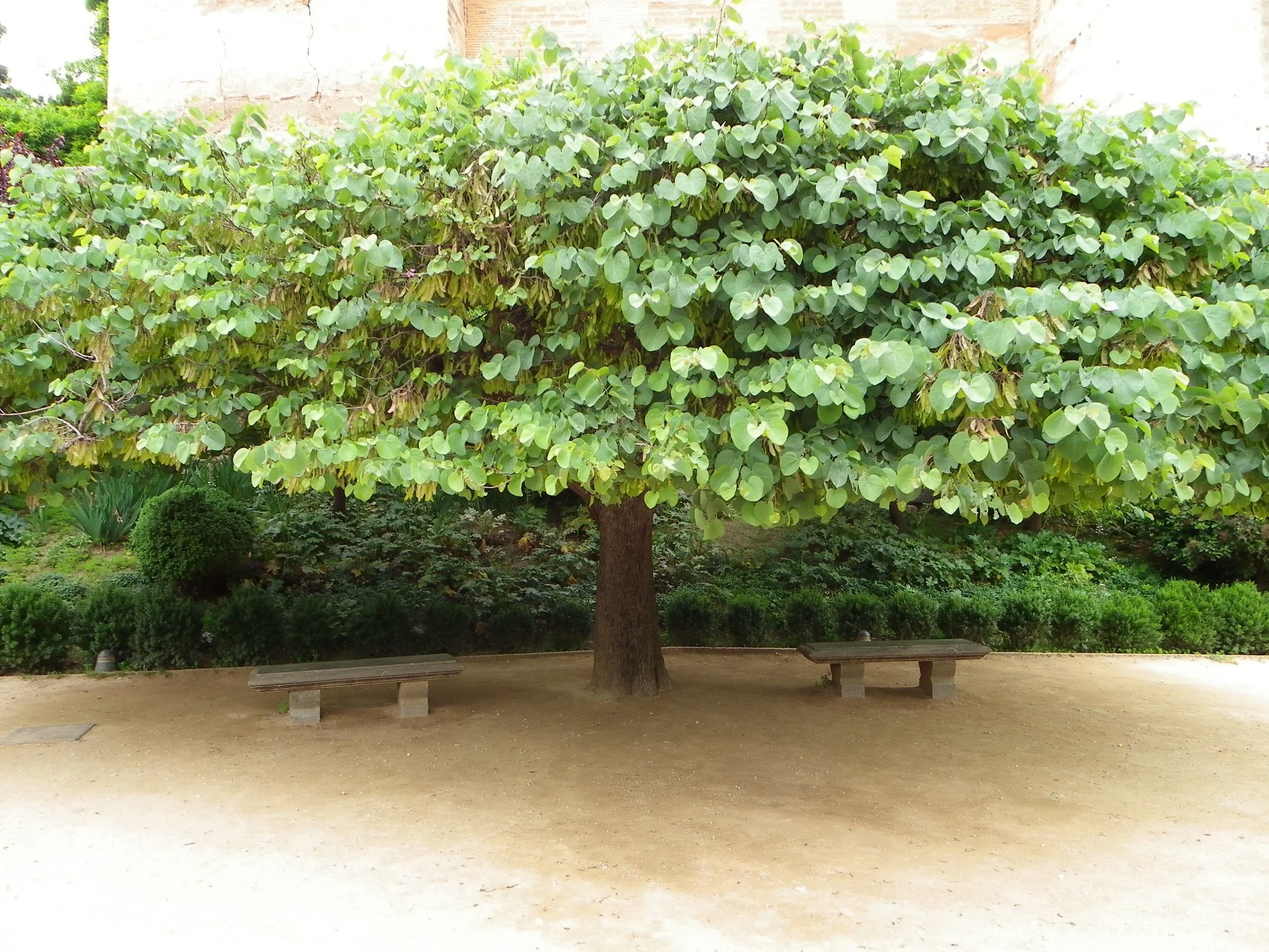 IMGP2616.jpg
