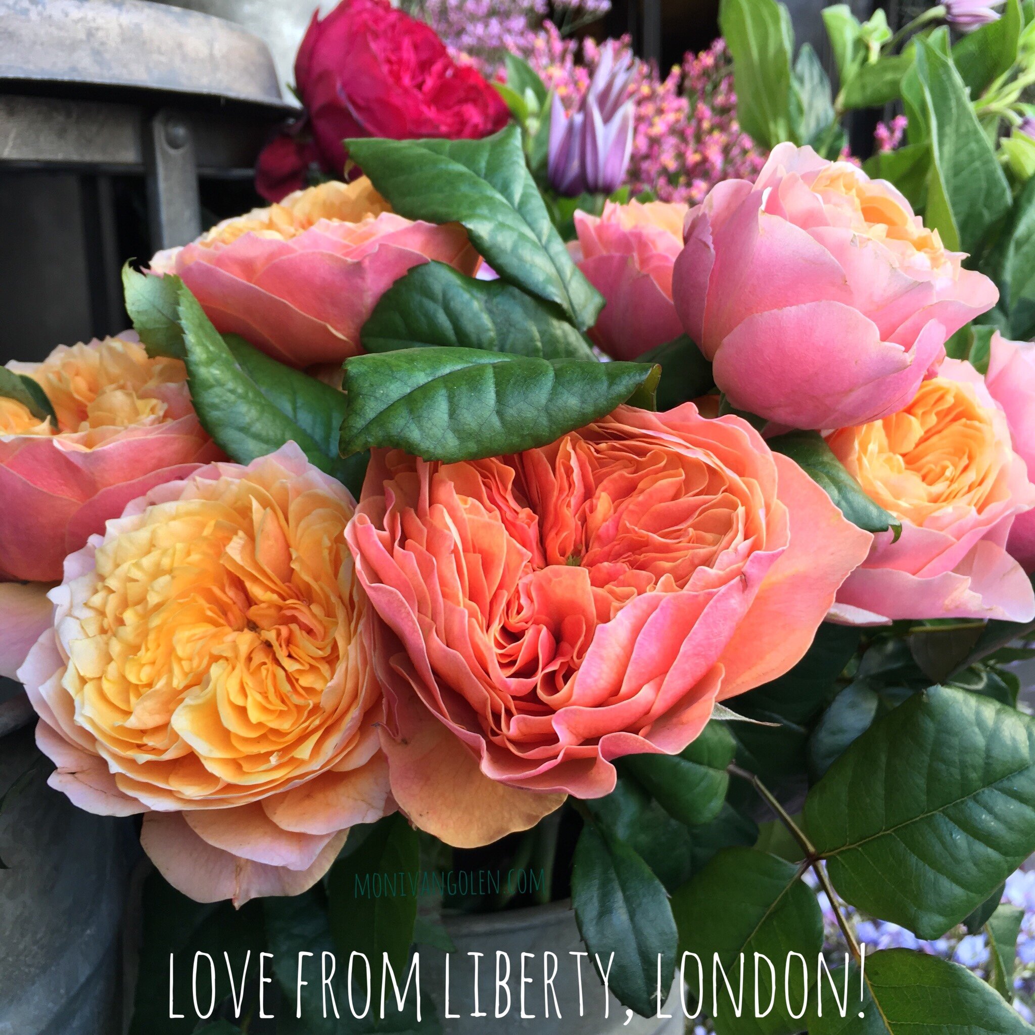 I visited my flower friends at Liberty!