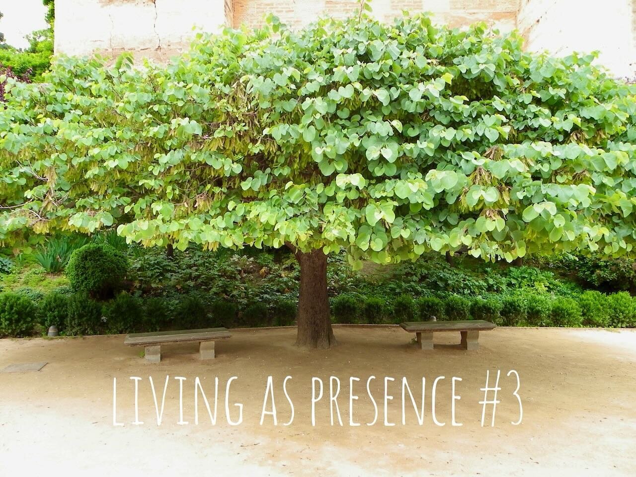 ⭐️ Living As Presence #3 ⭐️

The latest episode in my new video series!

⭐️A space to be.⭐️

View on my YouTube channel (link in profile)

Thank you for your Presence! 🌟
😘💕

#presence #awake #awakening #awareness #consciousness #conscious #stillne