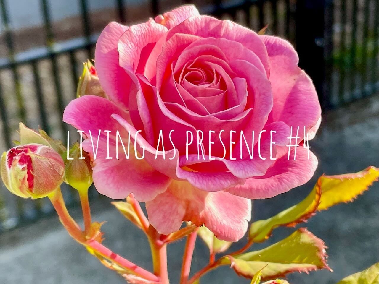 ⭐️ Living As Presence #4 ⭐️

The latest episode in my new video series!

⭐️ A space to ✨be✨ ⭐️

View on my YouTube channel (link in profile)

Thank you for your Presence! 🌟
😘💕

#presence #livingaspresence #awake #awakening #spiritual #awareness #c