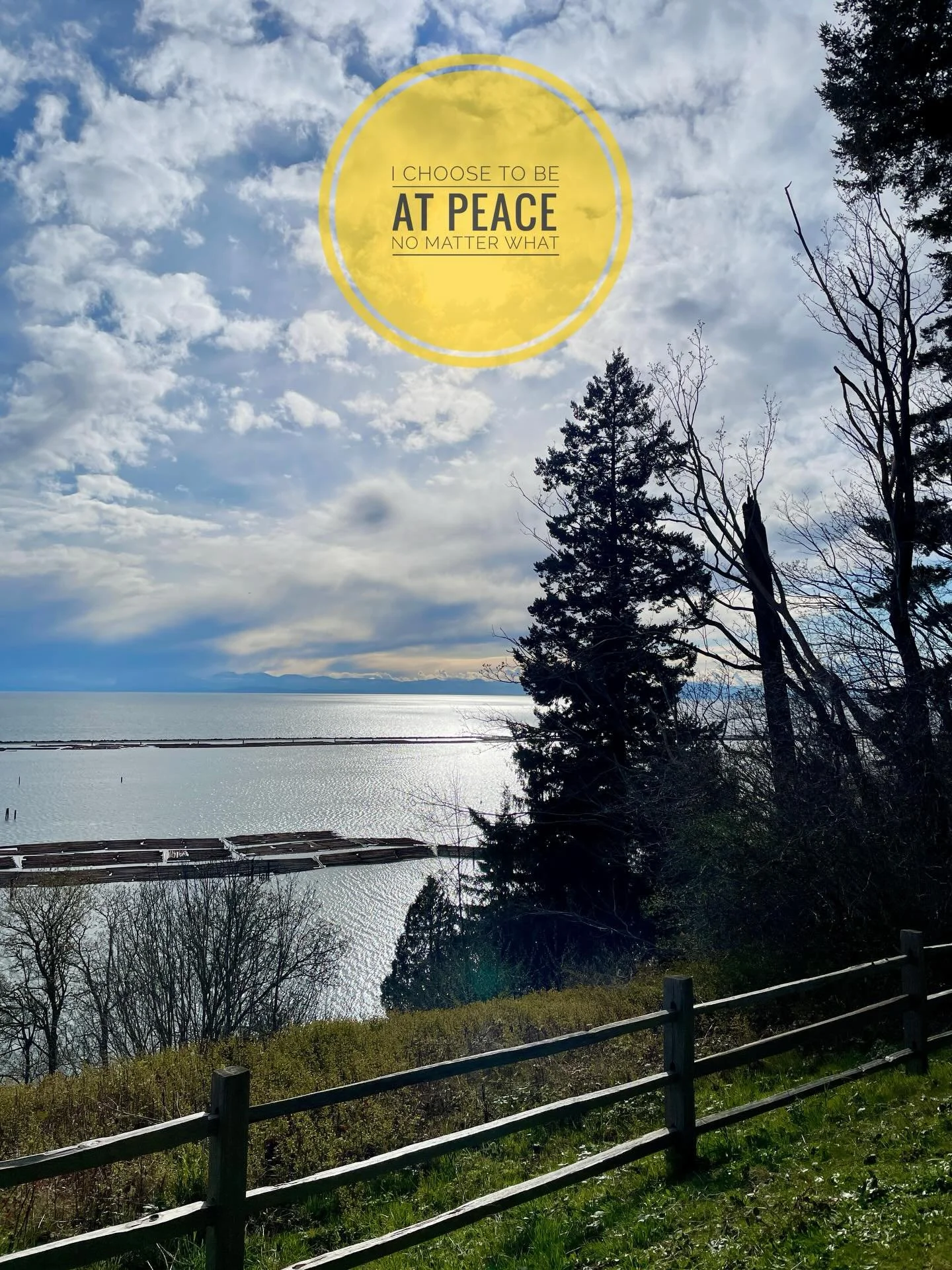 ⭐️ i choose to be at peace, no matter what ⭐️

may you and all beings be at peace 🕉️

🙏💗

#peace 
#choosepeace 
#pacificspiritpark 
#beauty 

⭐️⭐️⭐️⭐️⭐️