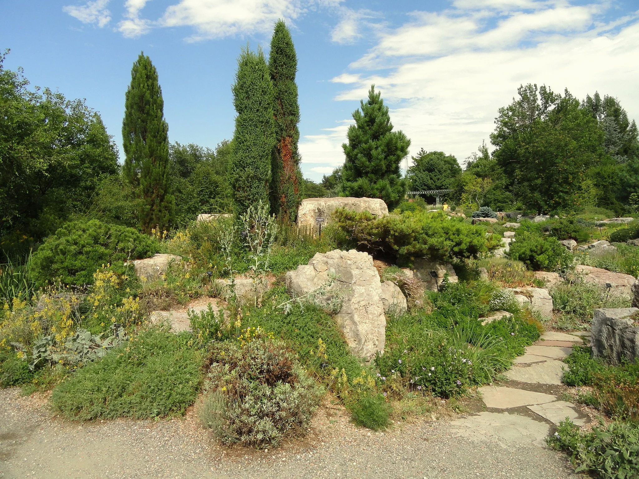 Top 9 Plants for Xeriscaping in Parker, Colorado — Kelly Tabert