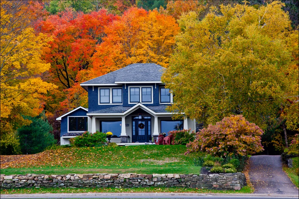 Home for the fall.jpg