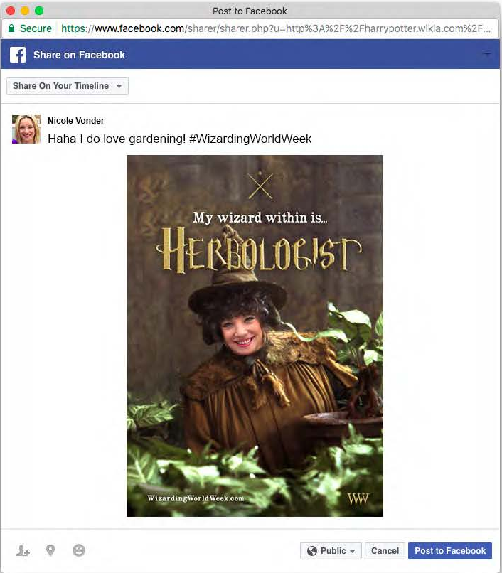 The Wizard Within Quiz