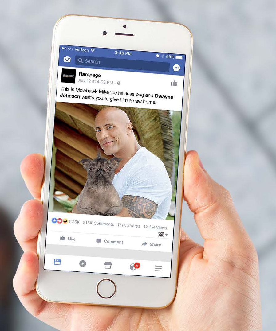 adopt-a-beast Social Campaign