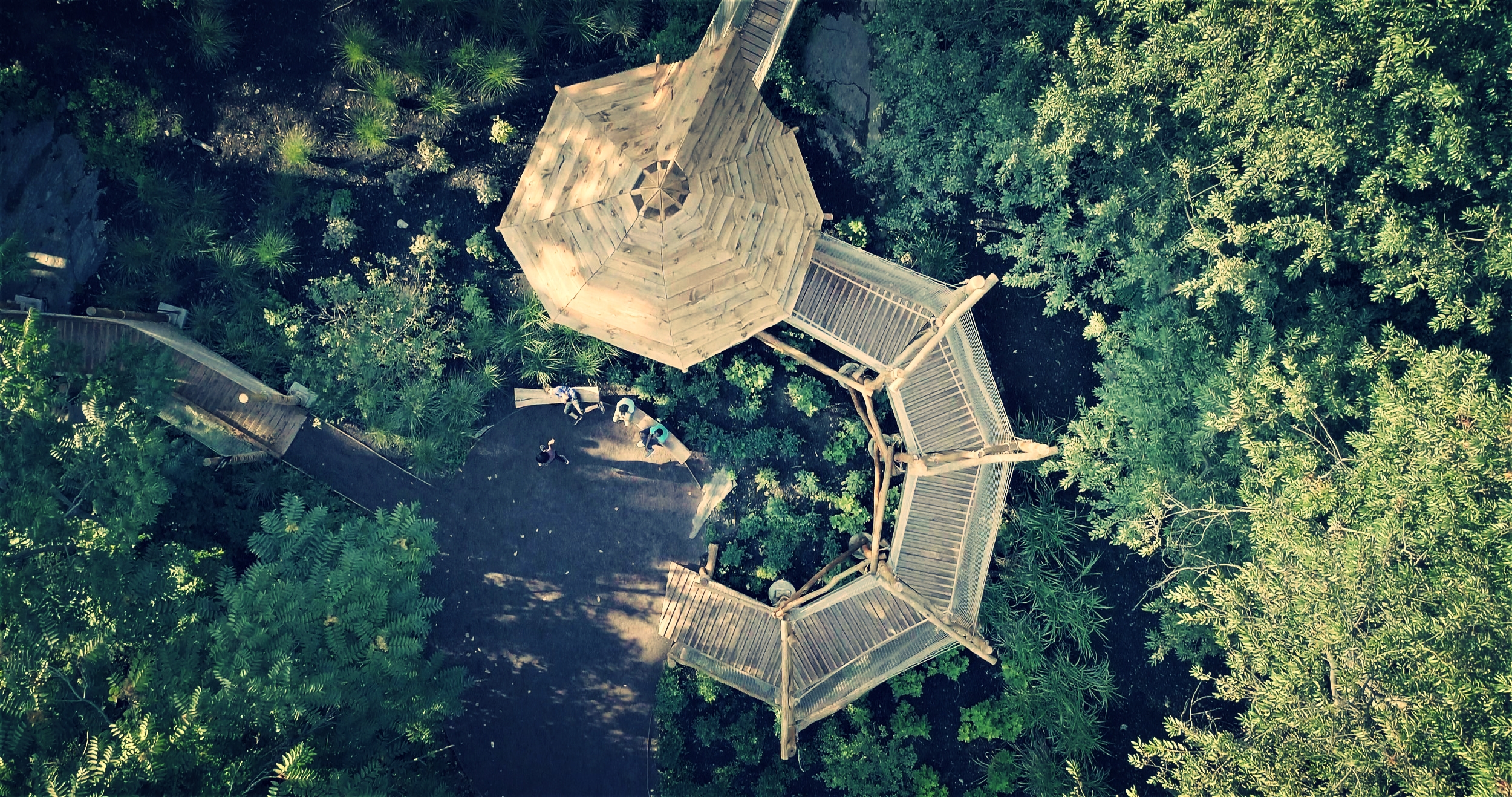 DJI_0003.MOV.Still002.jpg