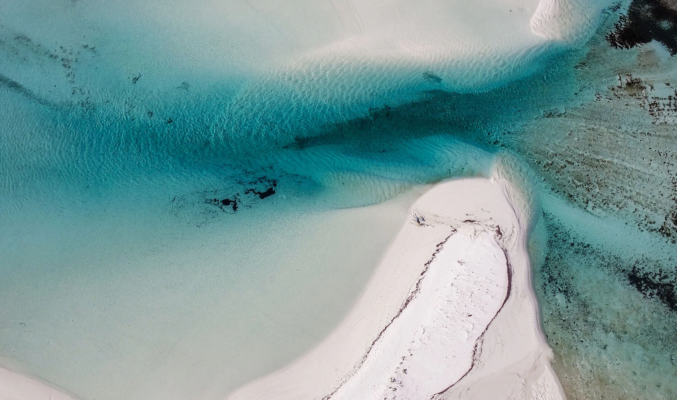 ISLANDS AS BLUEPRINTS FOR A GREEN PLANET