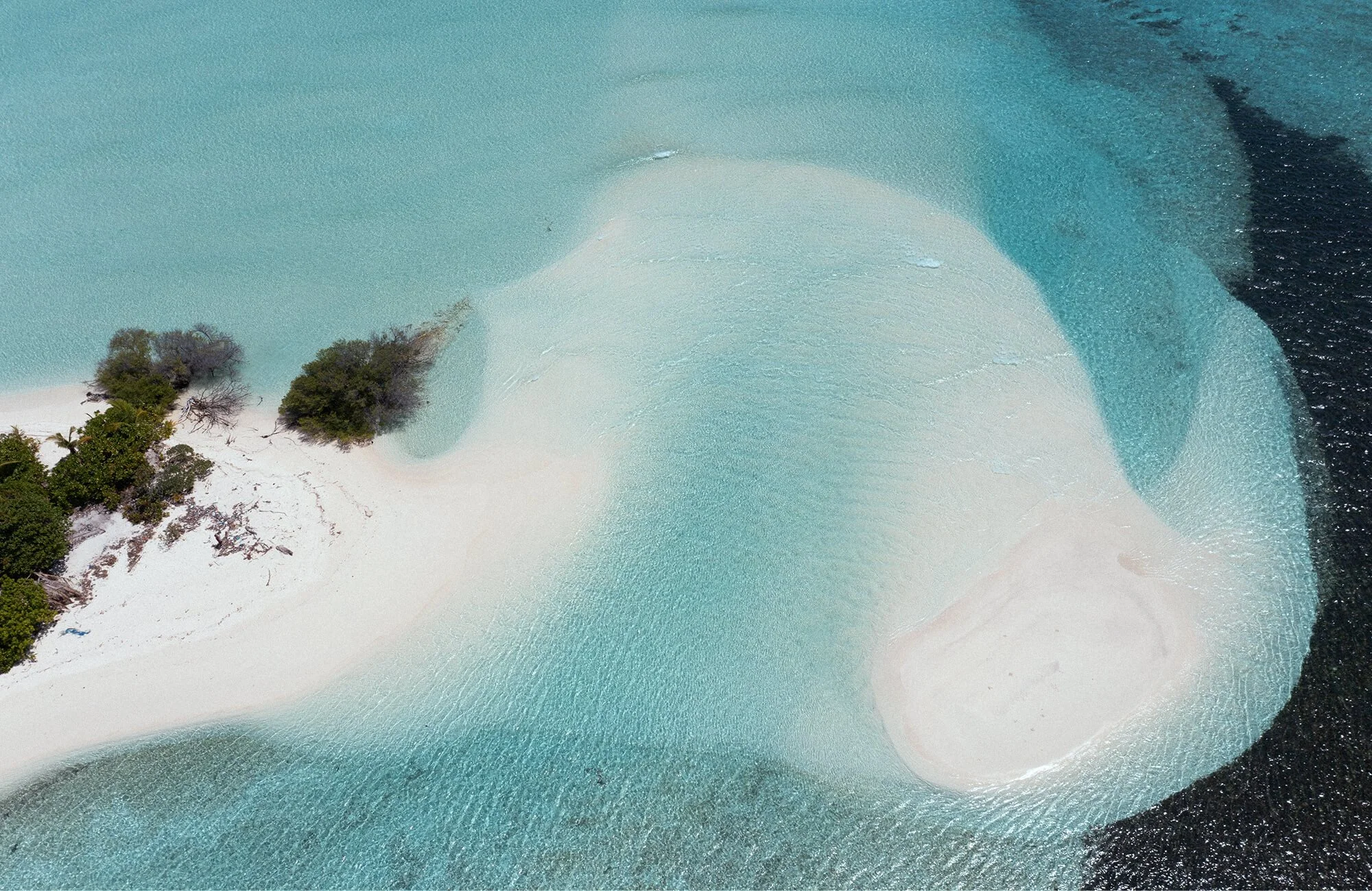 PARADISE LOST