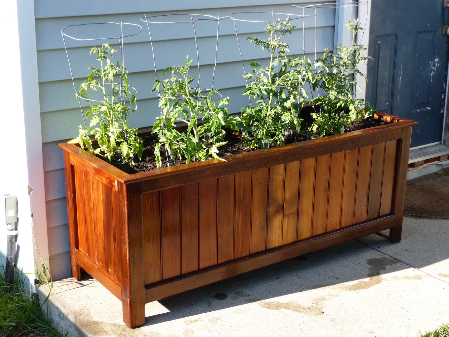 Tomato planter 4.jpg