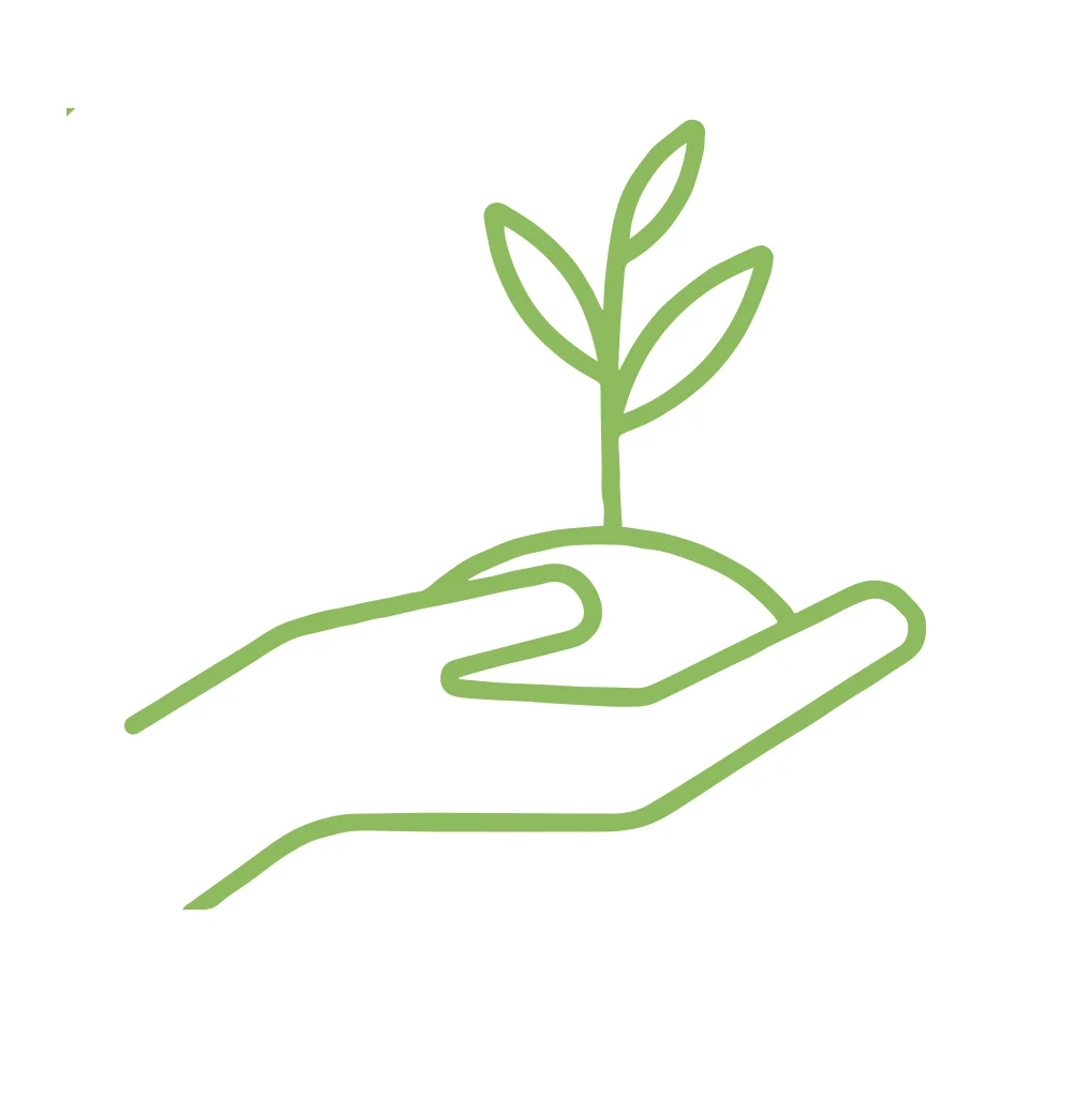 Sapling.jpg