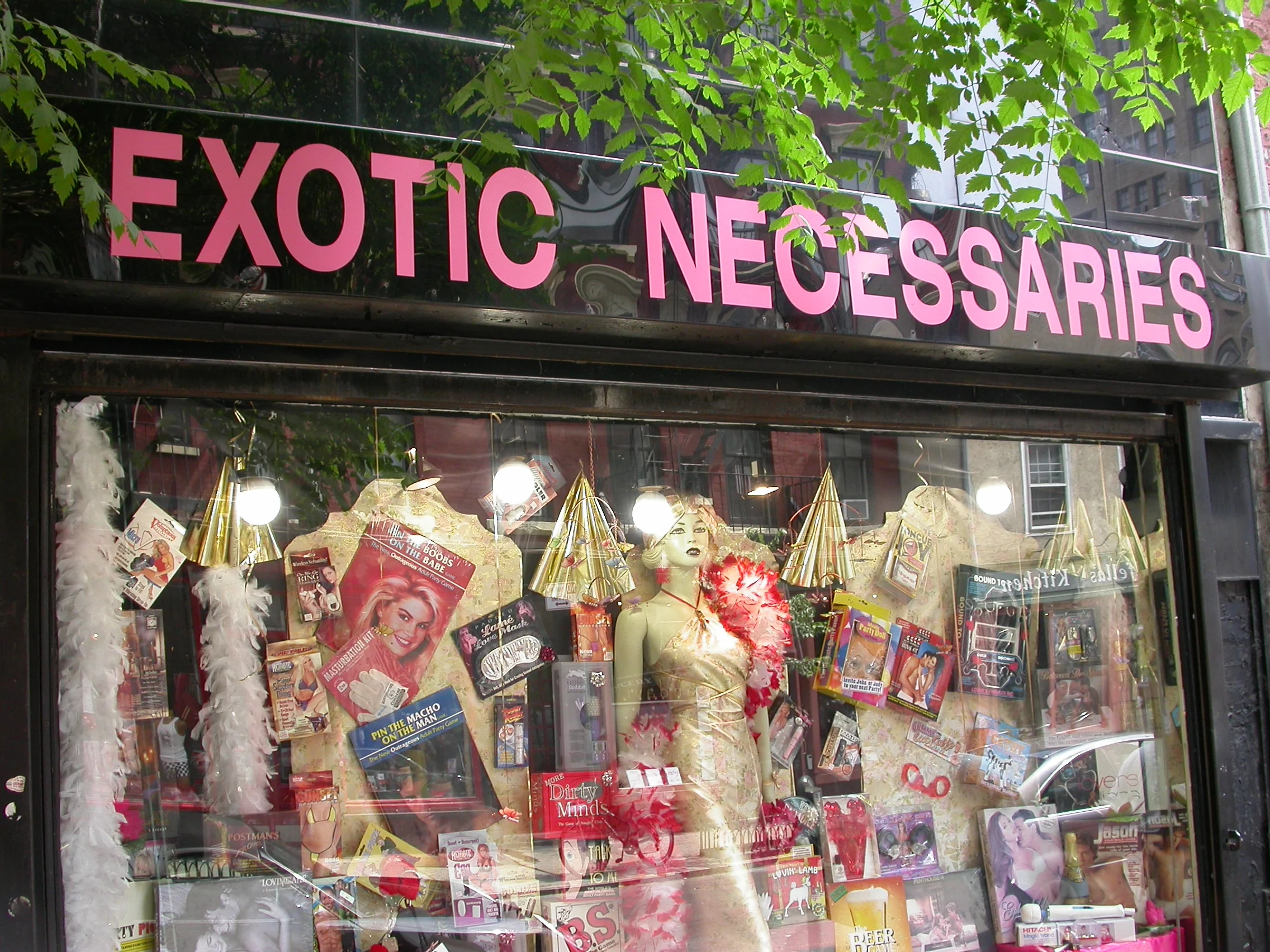 DSCN0718.JPG