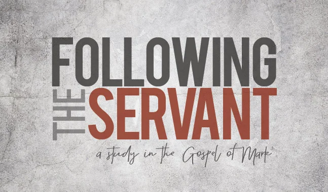 FOLLOWING THE SERVANT-MEDIA GRAPHIC.jpg