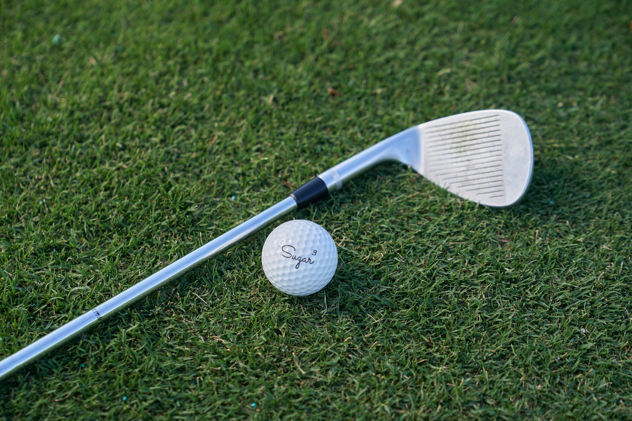 Bible Study Golf Retreat with Dr. Ronny Raines