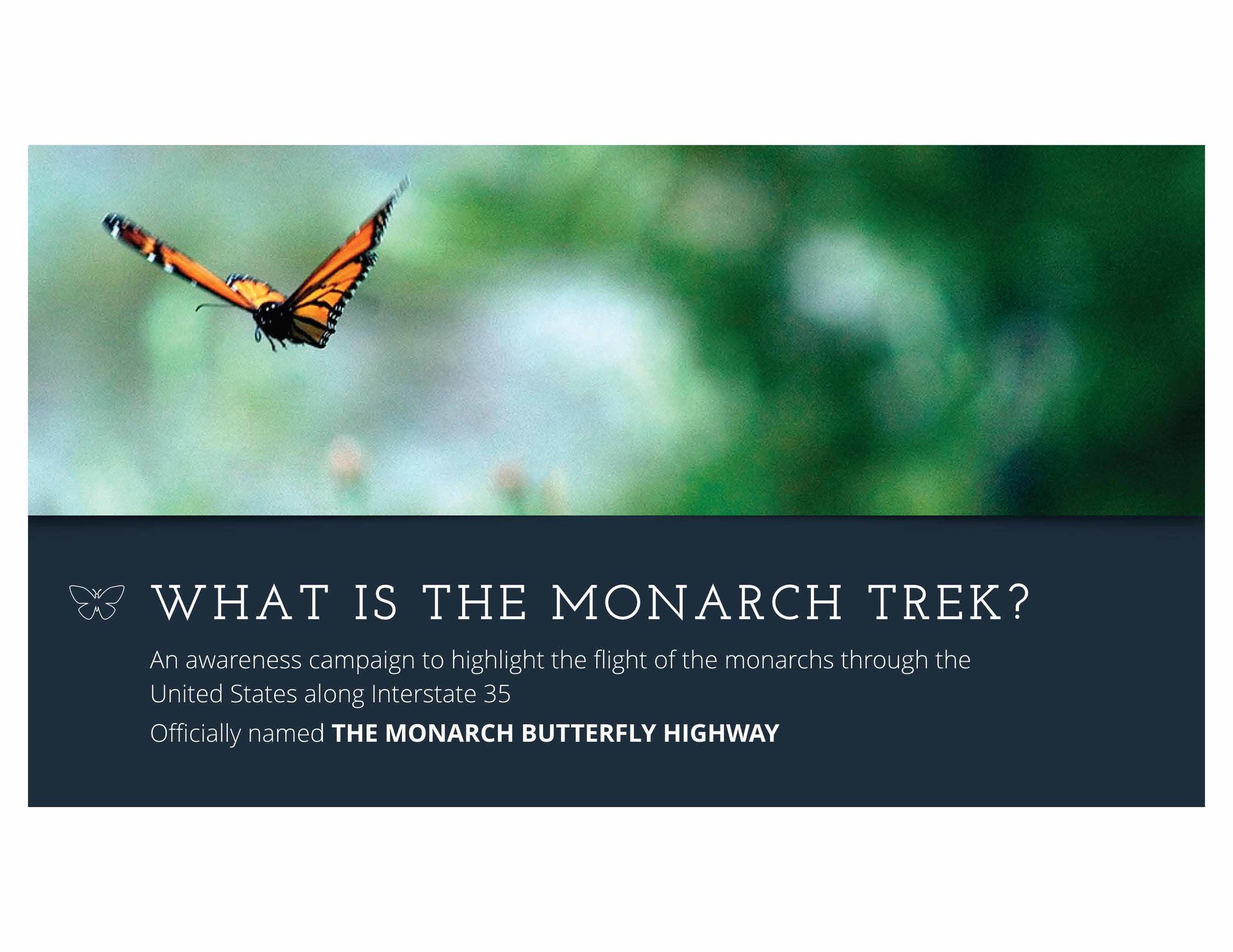 monarch-butterfly-deck_Page_18.jpg