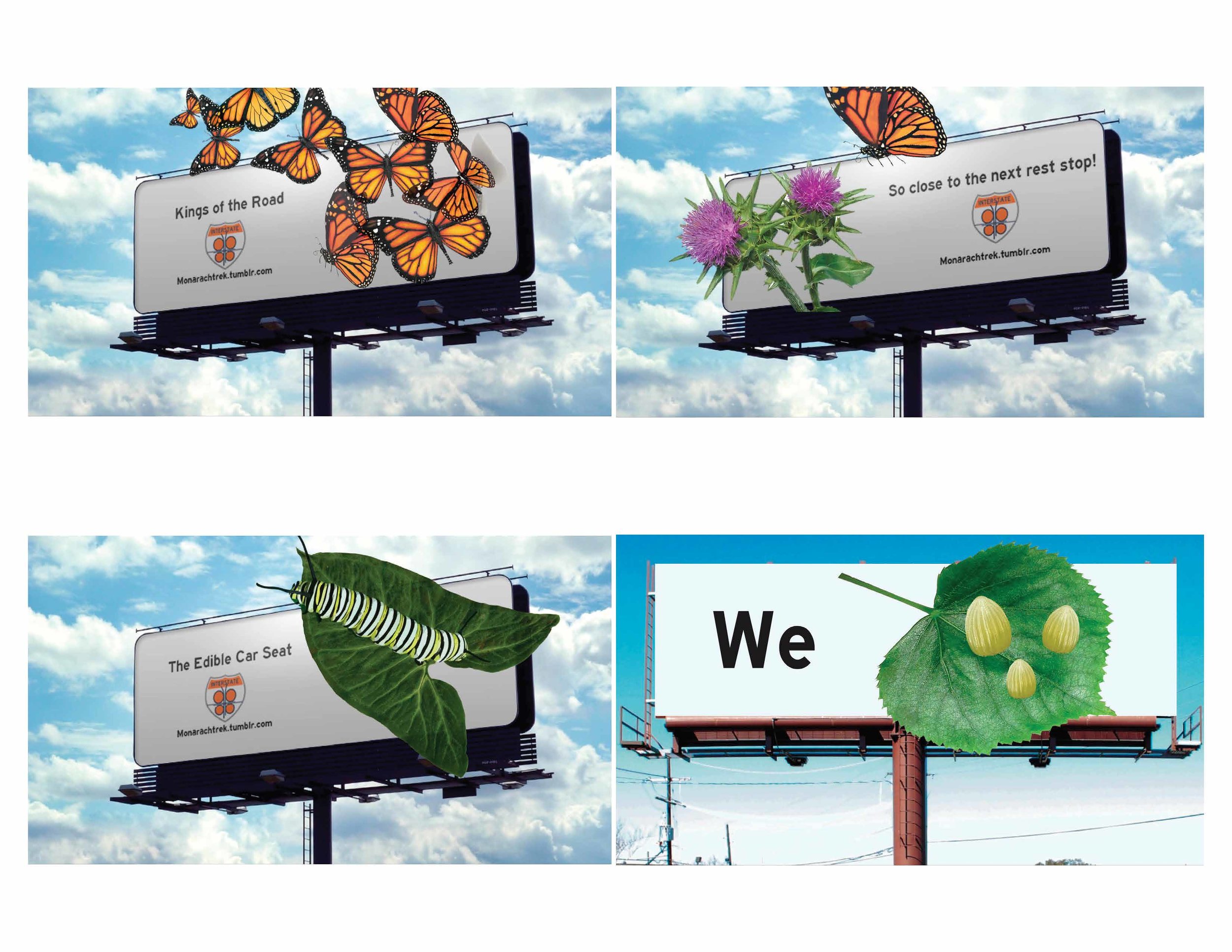 monarch-butterfly-deck_Page_34.jpg