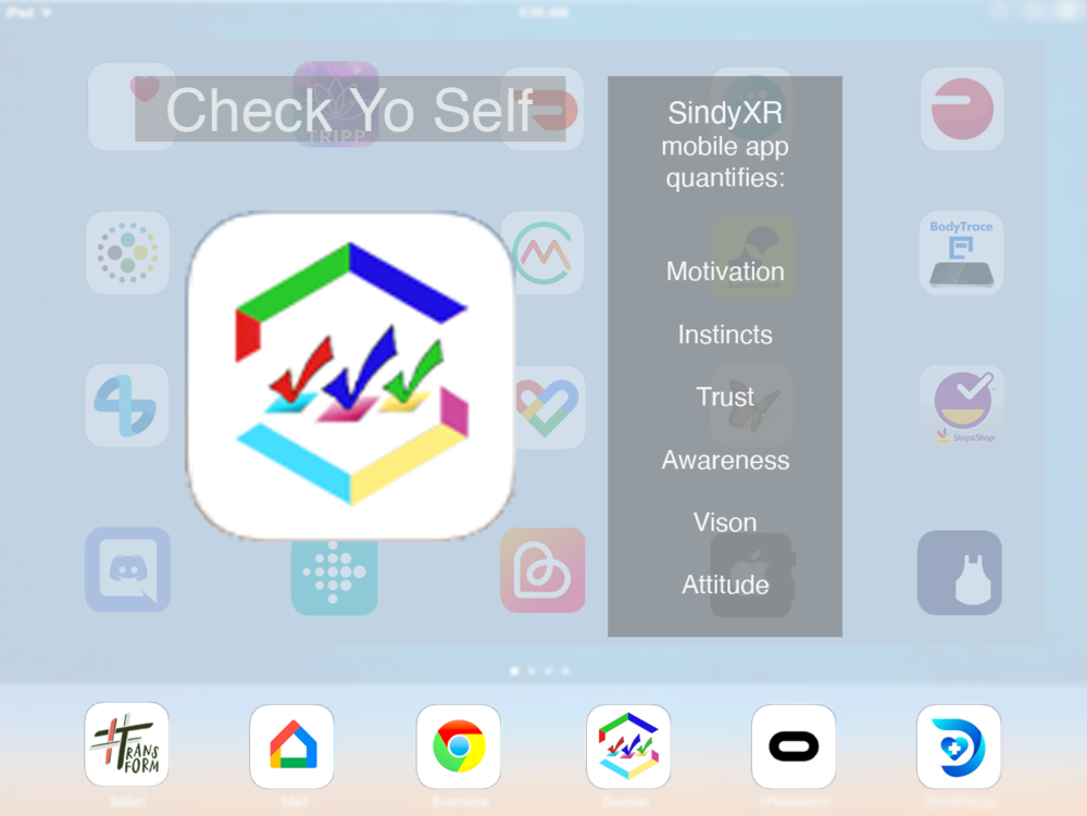 SindyXR Check Yo Self Large Logo page.png