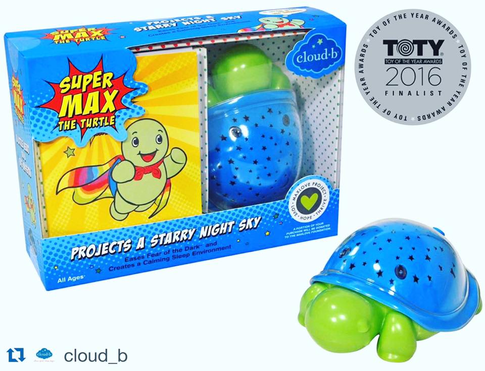 SuperMax_Turtle.jpg