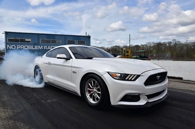 2015-ford-mustang-gt-sheldon-lewis.jpg