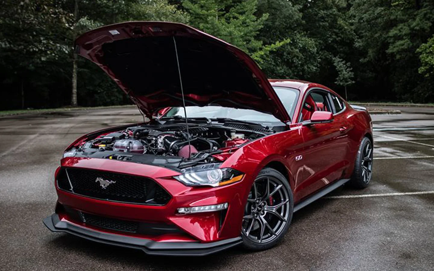 2018-ford-mustang-gt-lfp-800hp-ppl2.jpg