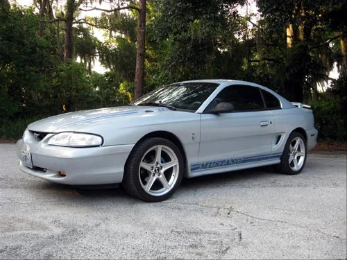 Opal Frost Mustang Registry (OFMR) # 00002