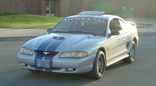 Opal Frost Mustang Registry (OFMR) # 00003