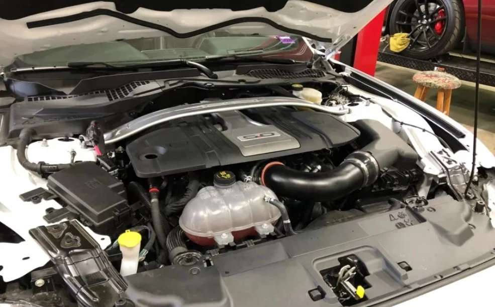 2019-ford-mustang-gt-10r80-1433-rwhp-batten-motorsports.jpg