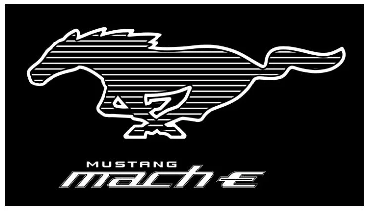 Ford Mustang Mach-E Name Change Petition (Change.org)