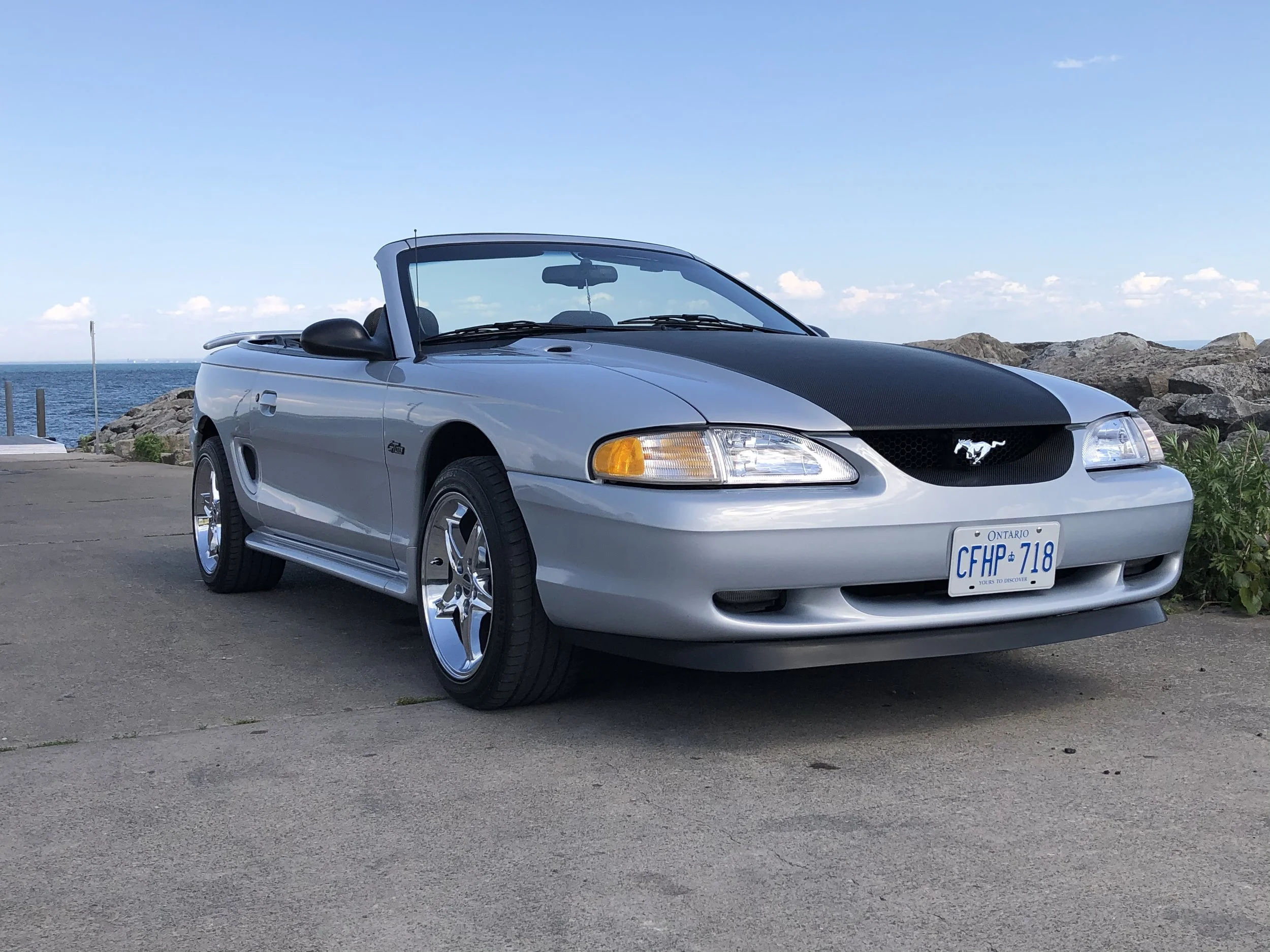 Opal Frost Mustang Registry (OFMR) # 00128