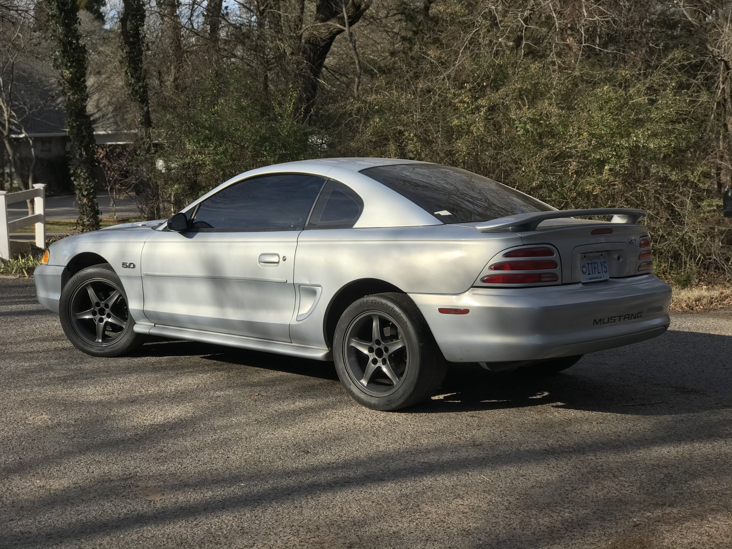 Opal Frost Mustang Registry (OFMR) # 00123