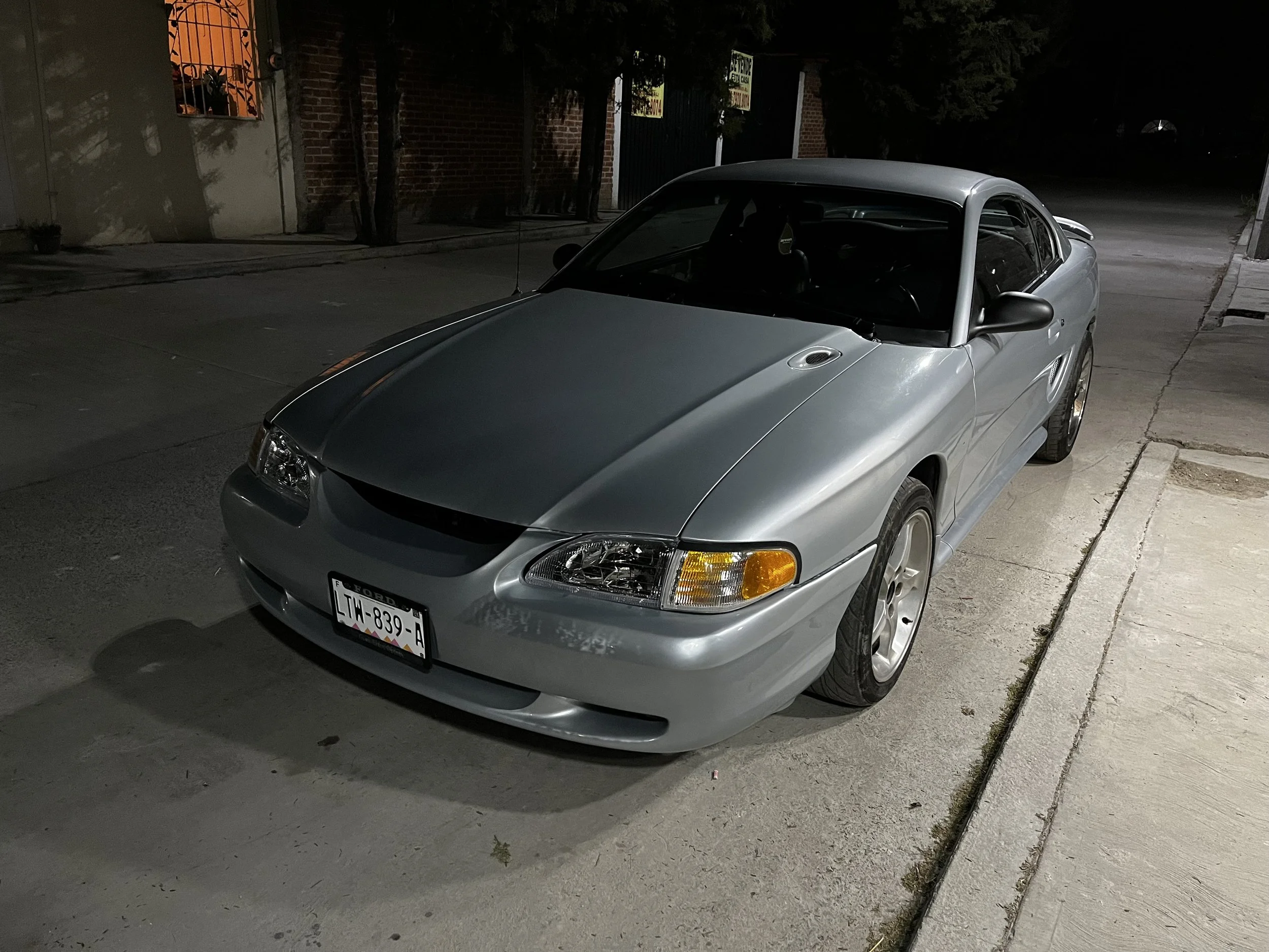 Opal Frost Mustang Registry (OFMR) # 00135