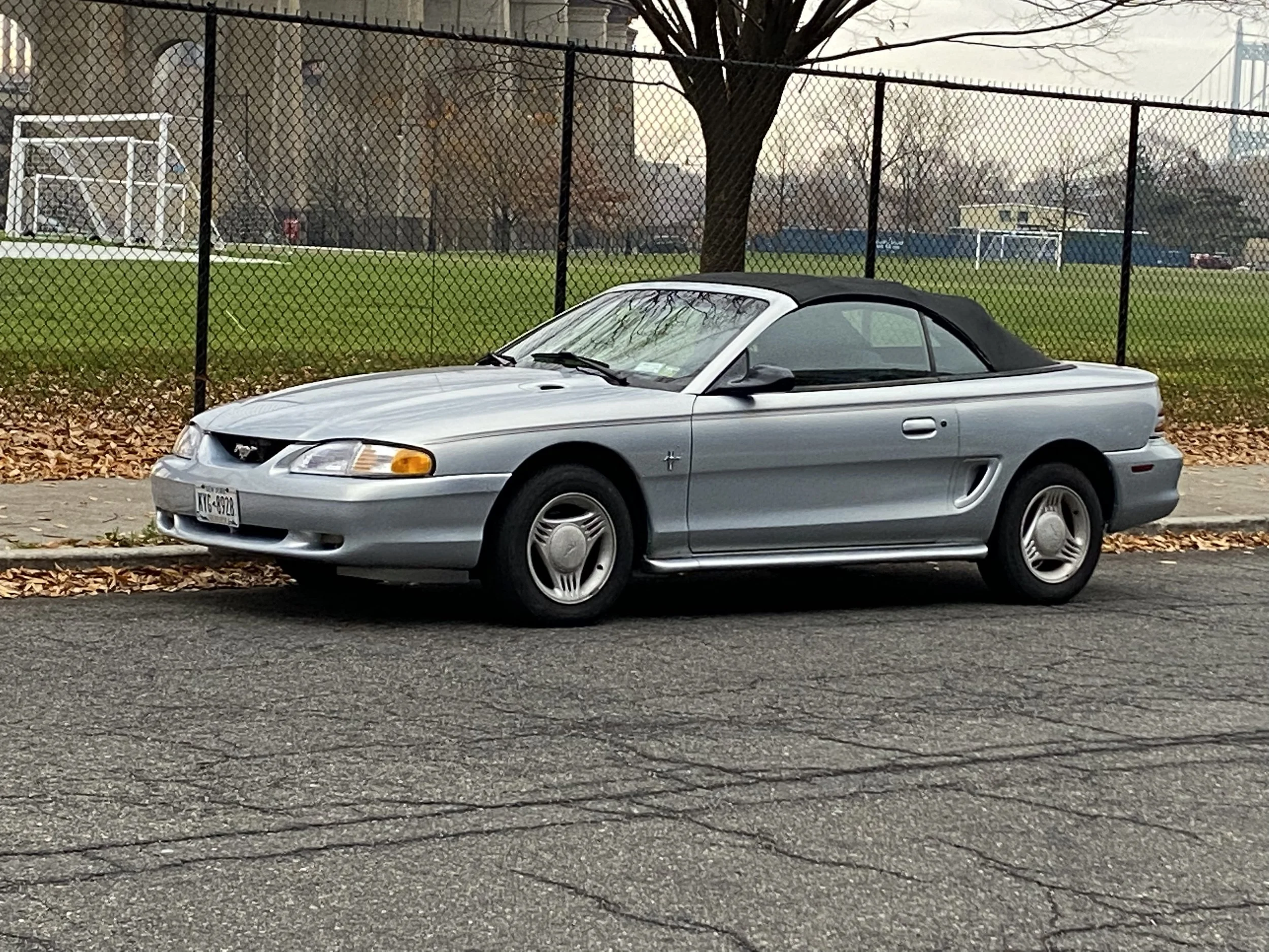 Opal Frost Mustang Registry (OFMR) # 00136