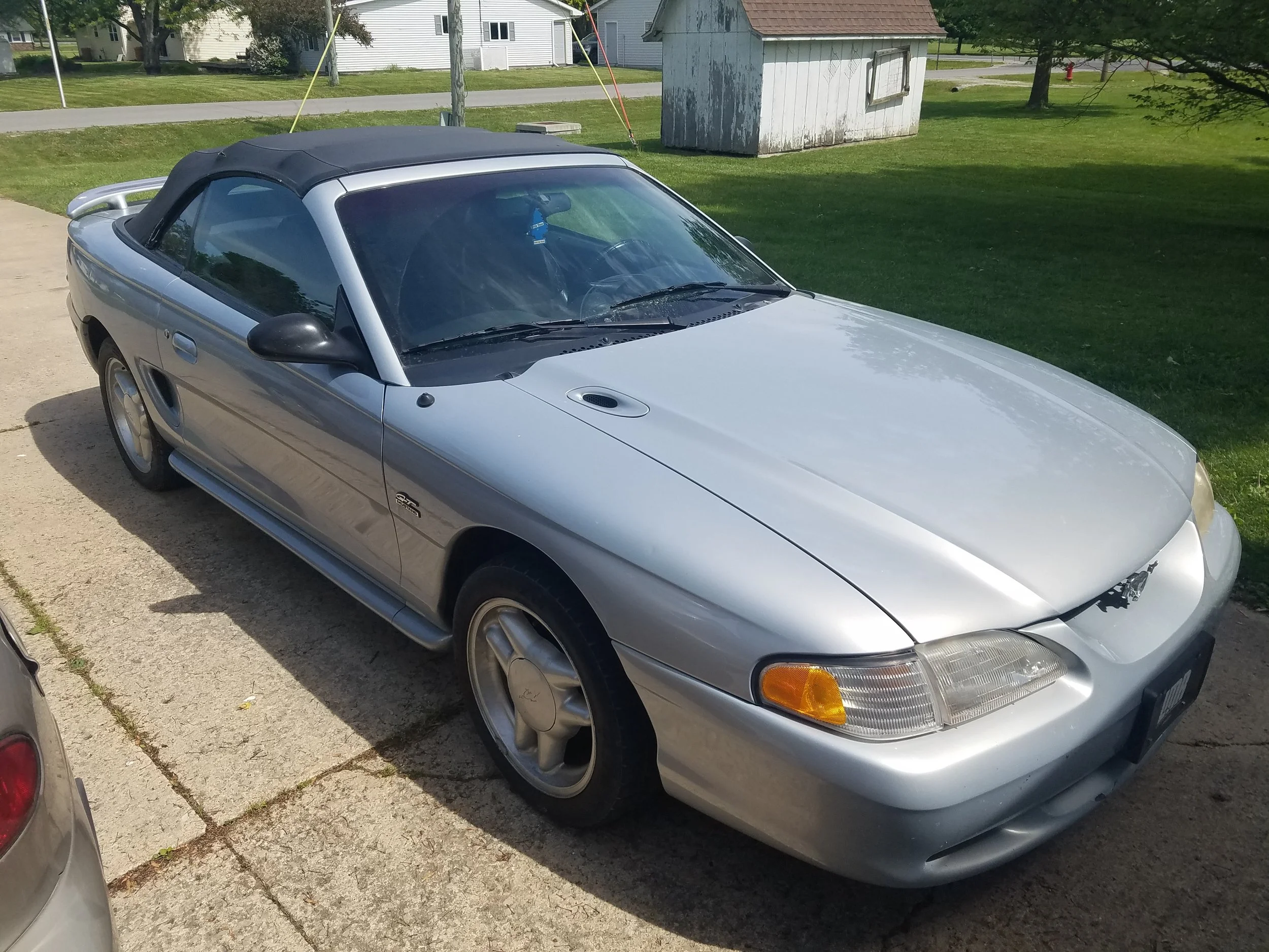 Opal Frost Mustang Registry (OFMR) # 00130