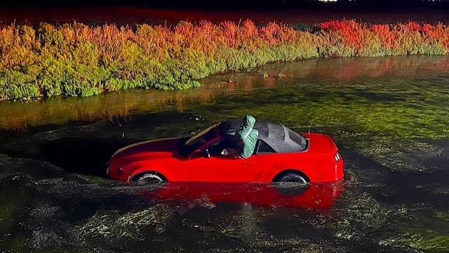 Ford Mustang Flies into Pond, Driver Falls Asleep, Then Blows 0.25% BAC Once Awake