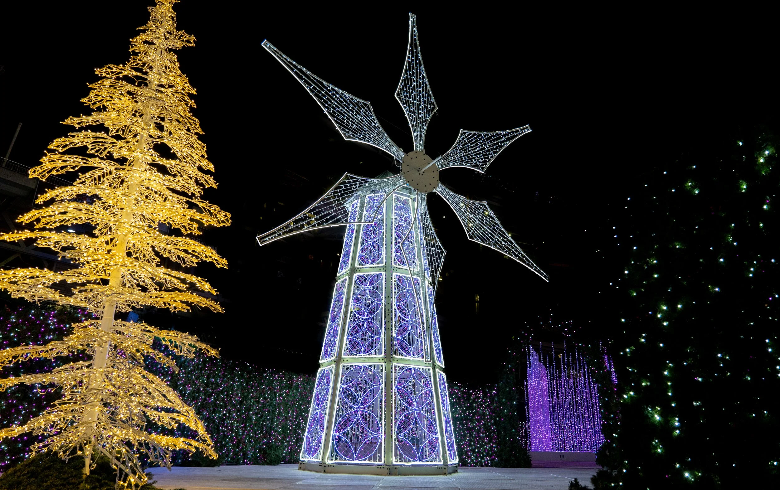 Copy of 2022.12.13_WDC_1_1406.jpg