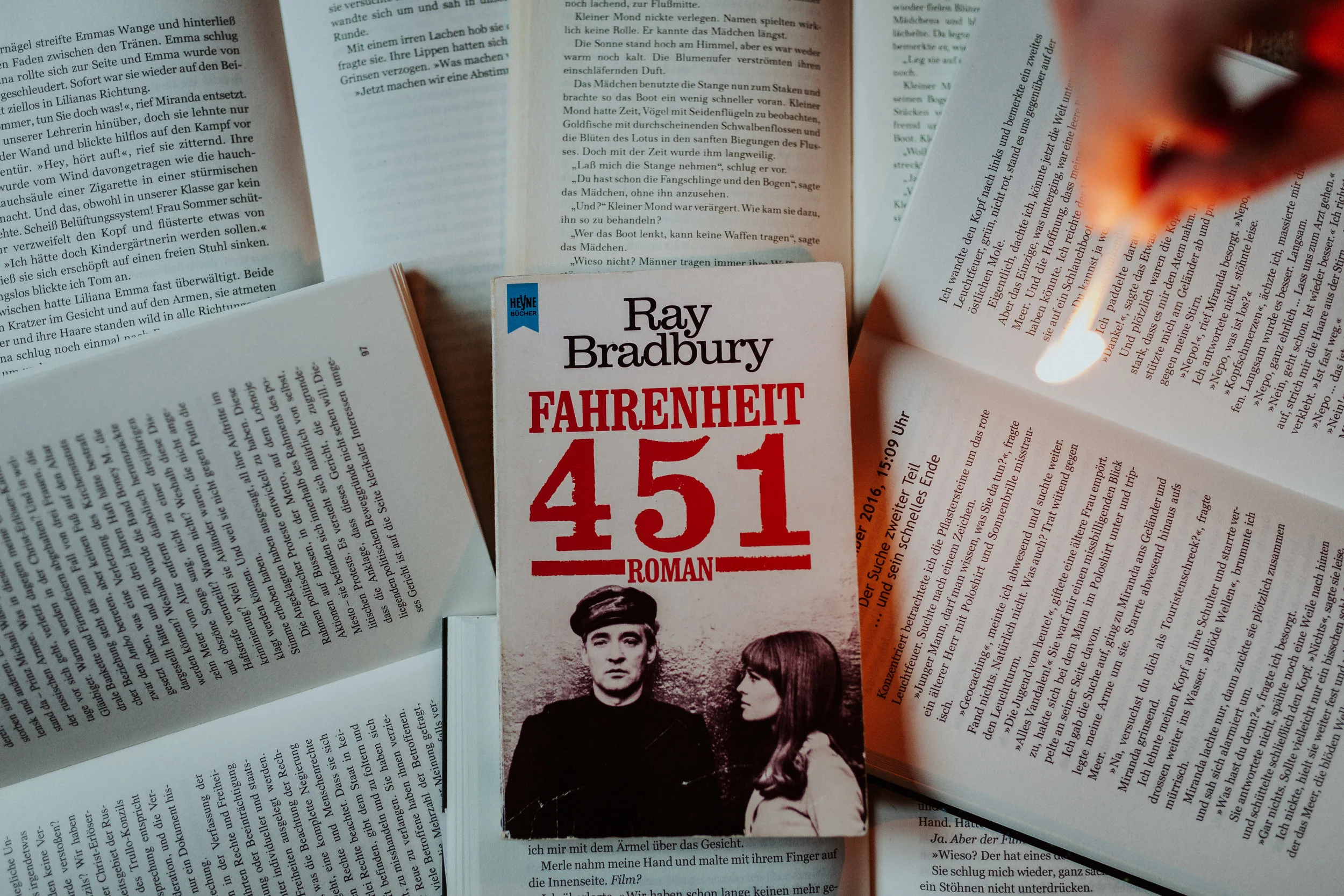 Paperwoods-8.jpg