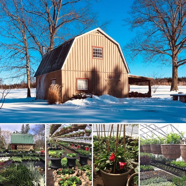While the barn is still nestled in snow on the outside, we are busy on the inside with our preparations for SPRING !!🌸🌸🌺🌺
Here are a few photos from our previous season as we send warm , springlike thoughts out to everyone!!
#bayofquinte #bayofqu