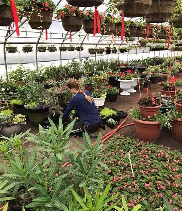 We are open holiday Monday. Our regular business hours are Monday to Saturday 8:00am to 6:00pm. A common question is if we accept debit and MasterCard..... yes we do

To all customers that support our business, your enthusiasm spurs us on and we get 