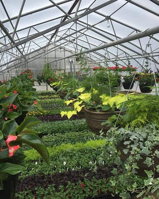 We're open for the season, Monday to Saturday 9:00 am to 6:00 pm. We are closed every Sunday for a day of rest and relaxation with family and friends.