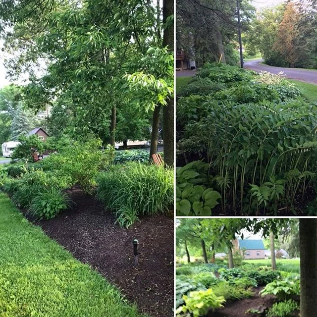 So thankful for the abundant rain! Gardens are ready for annuals ,perennials, shrubs, and vegetable plants to hit the soil  growing. We are itching to plant this week. 
We still have many great annuals and perennials in good shape. Fantastic sale pri