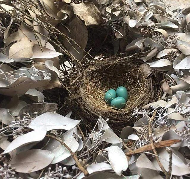 Spring is here🌷in the center of one of our winter wreaths